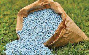 Dịch vụ vận chuyển phân bón