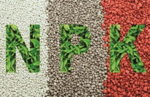 Dịch vụ vận chuyển phân bón trọn gói